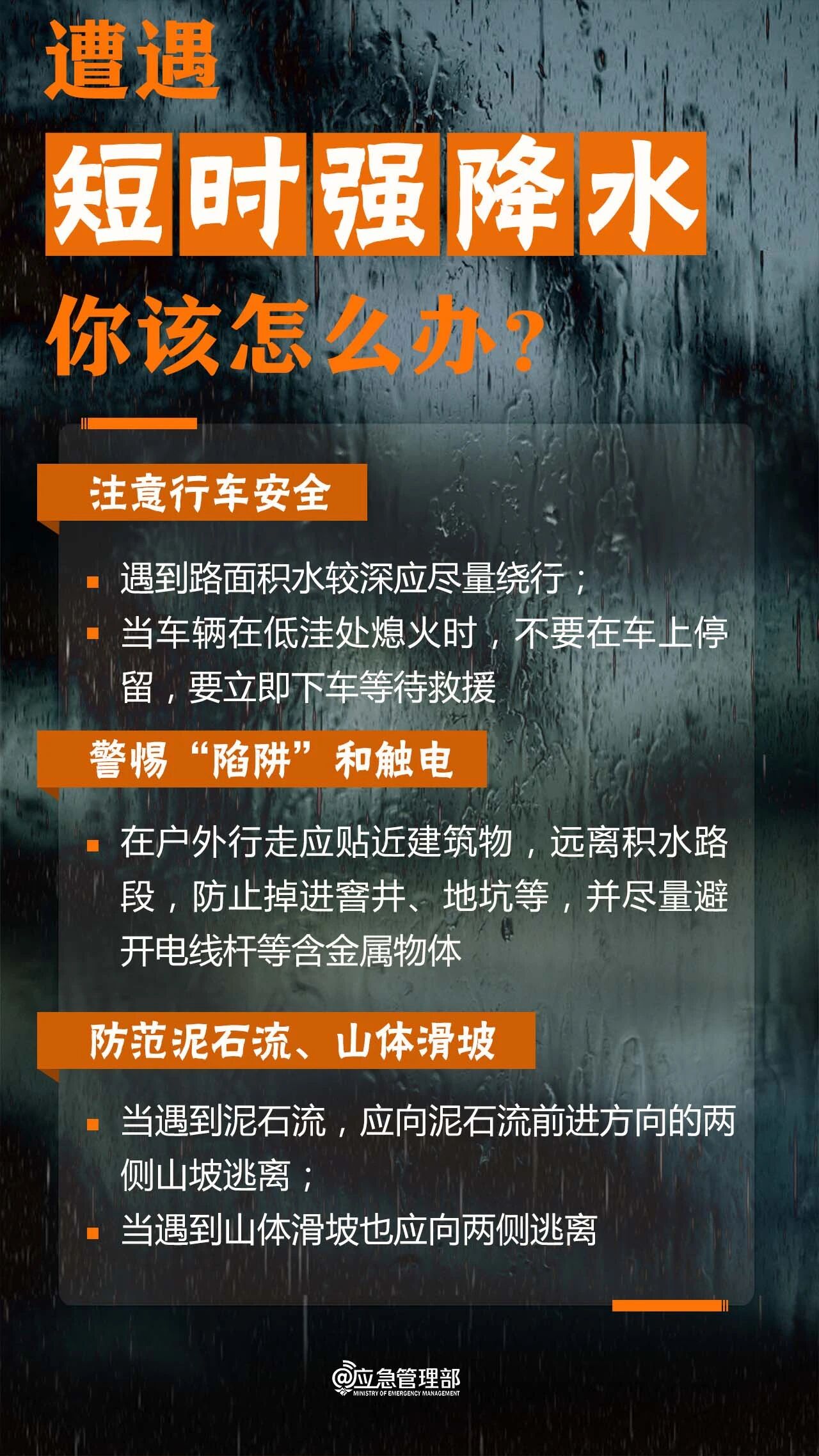 _cgi-bin_mmwebwx-bin_webwxgetmsgimg__&MsgID=500154480539